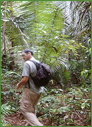 Überlebenstraining im Urwald